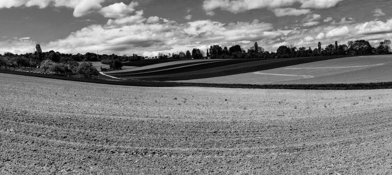Coockie Policy Consorzio Agrario Parma